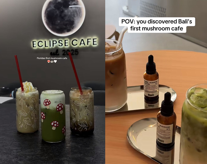 Tiktok @itscarleahcox e @rumbo__